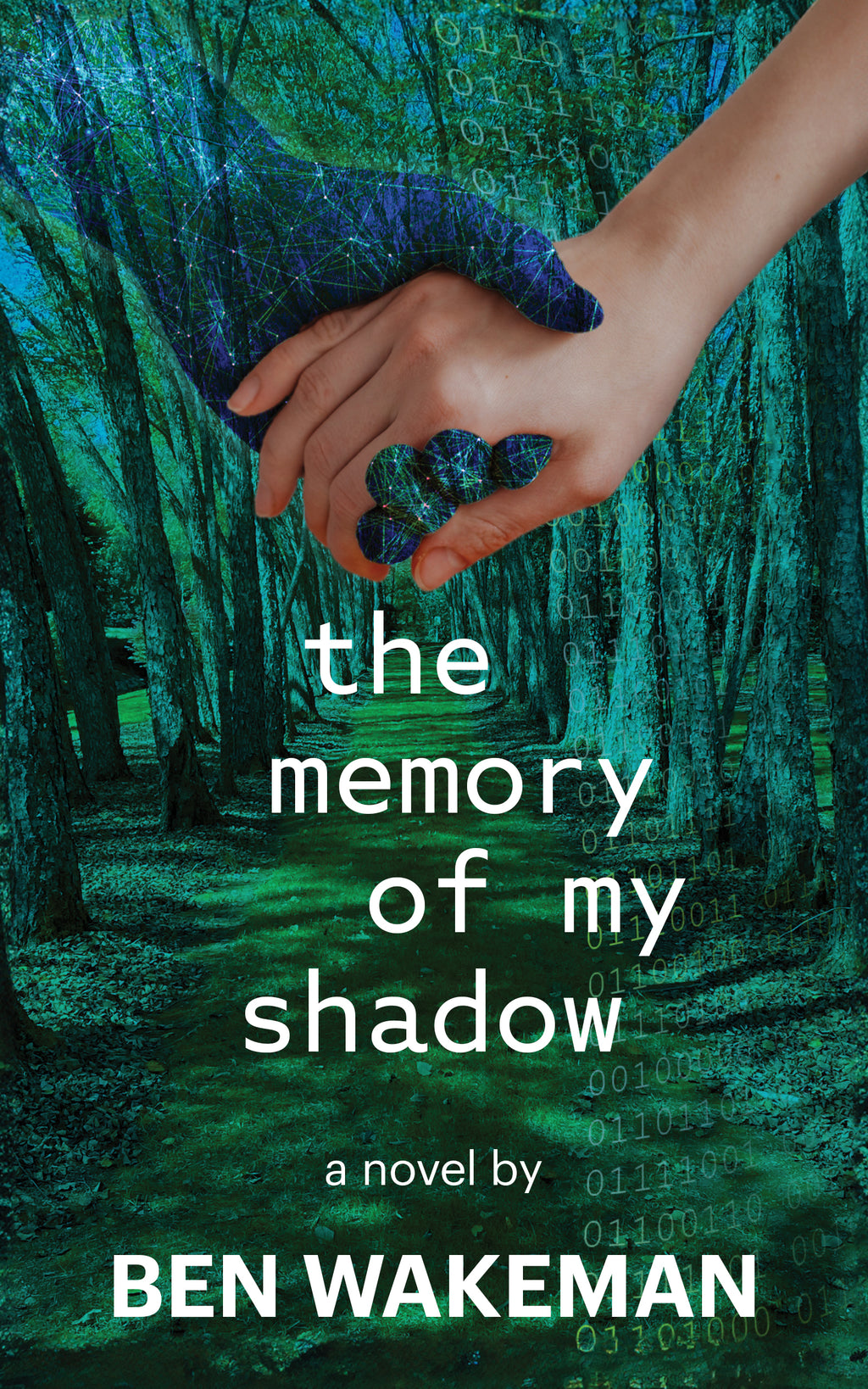 The Memory of My Shadow Paperback