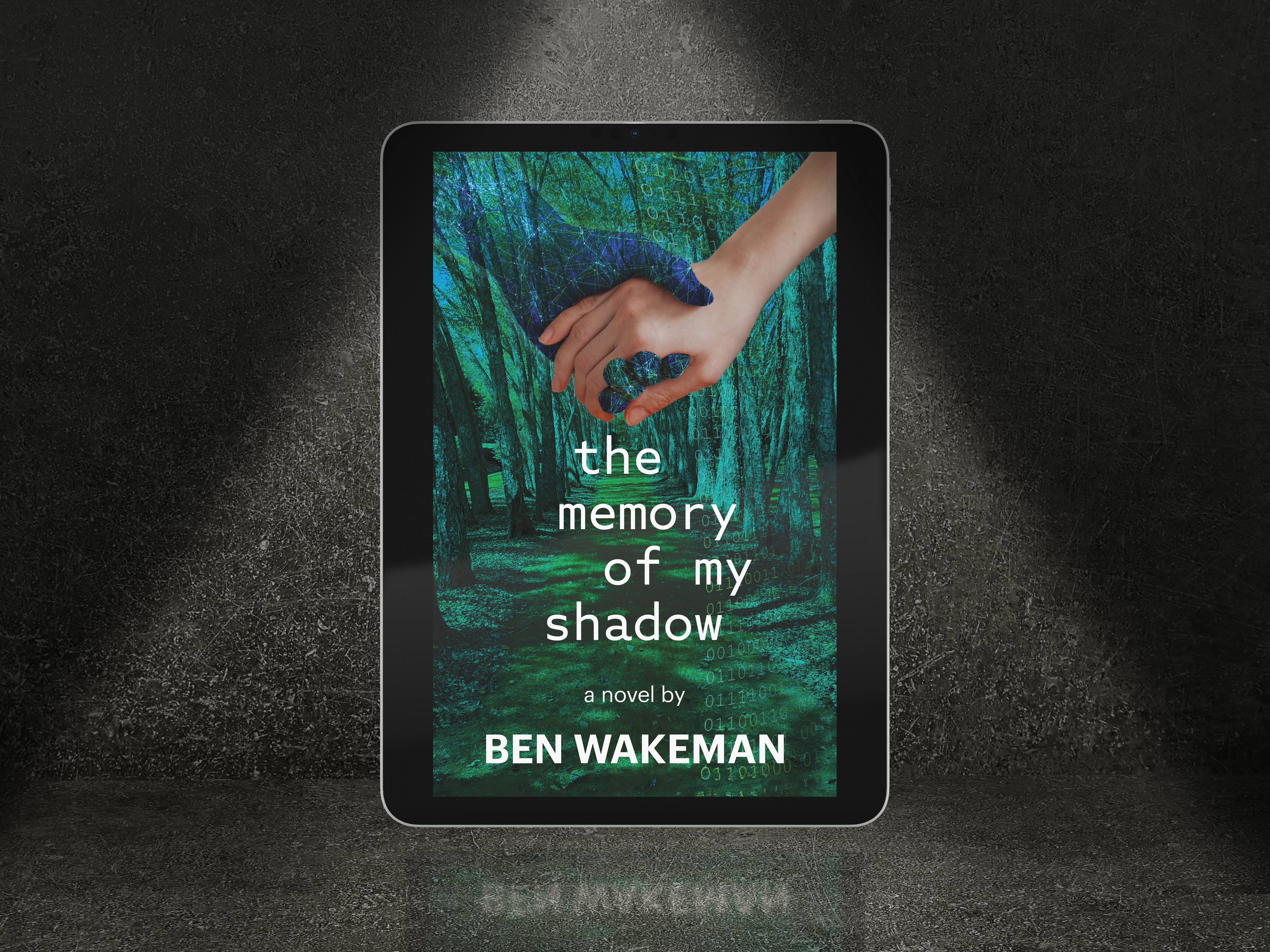 The Memory Of My Shadow • Ebook