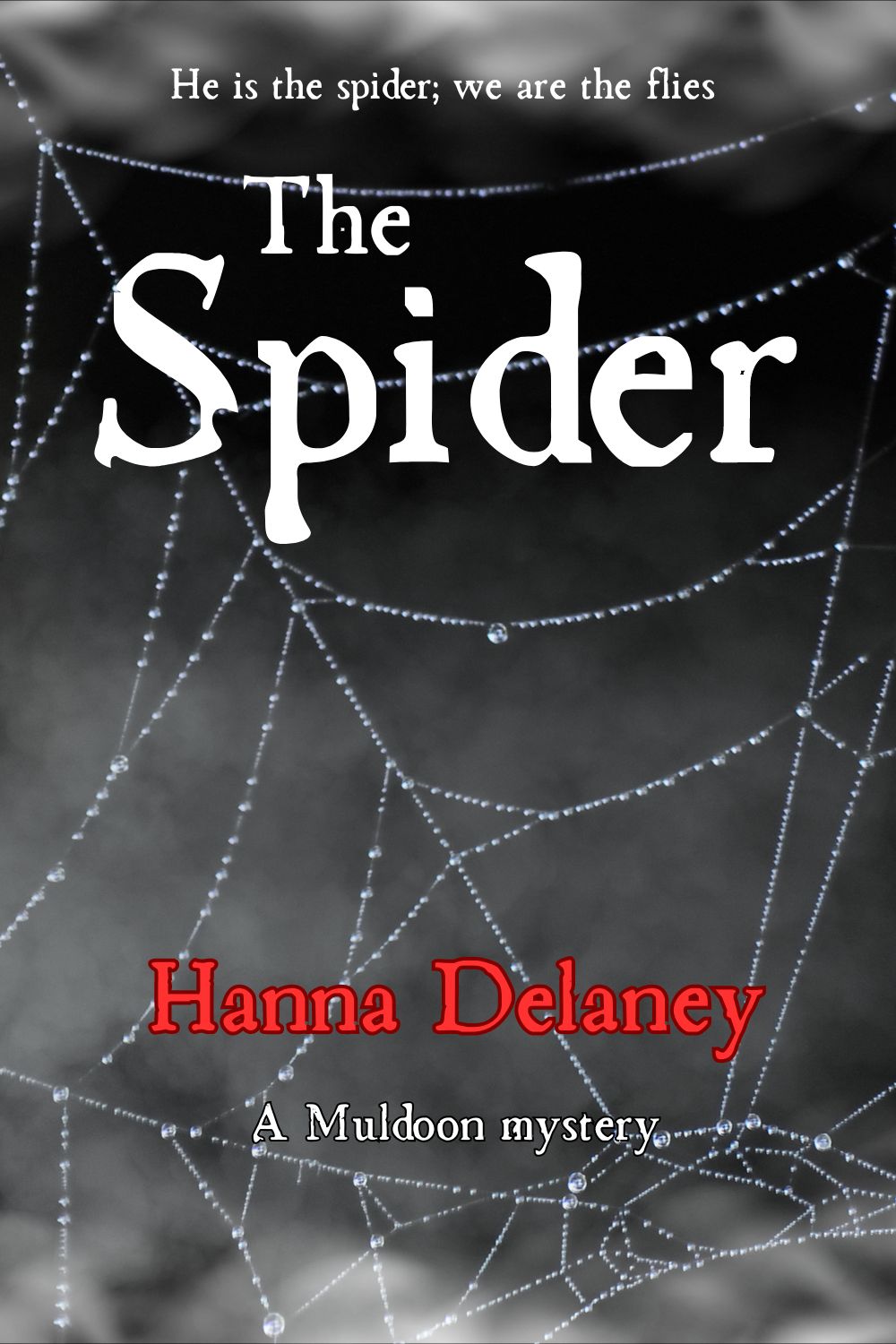 Book cover of 'The Spider' by Hanna Delaney featuring a spider web design.