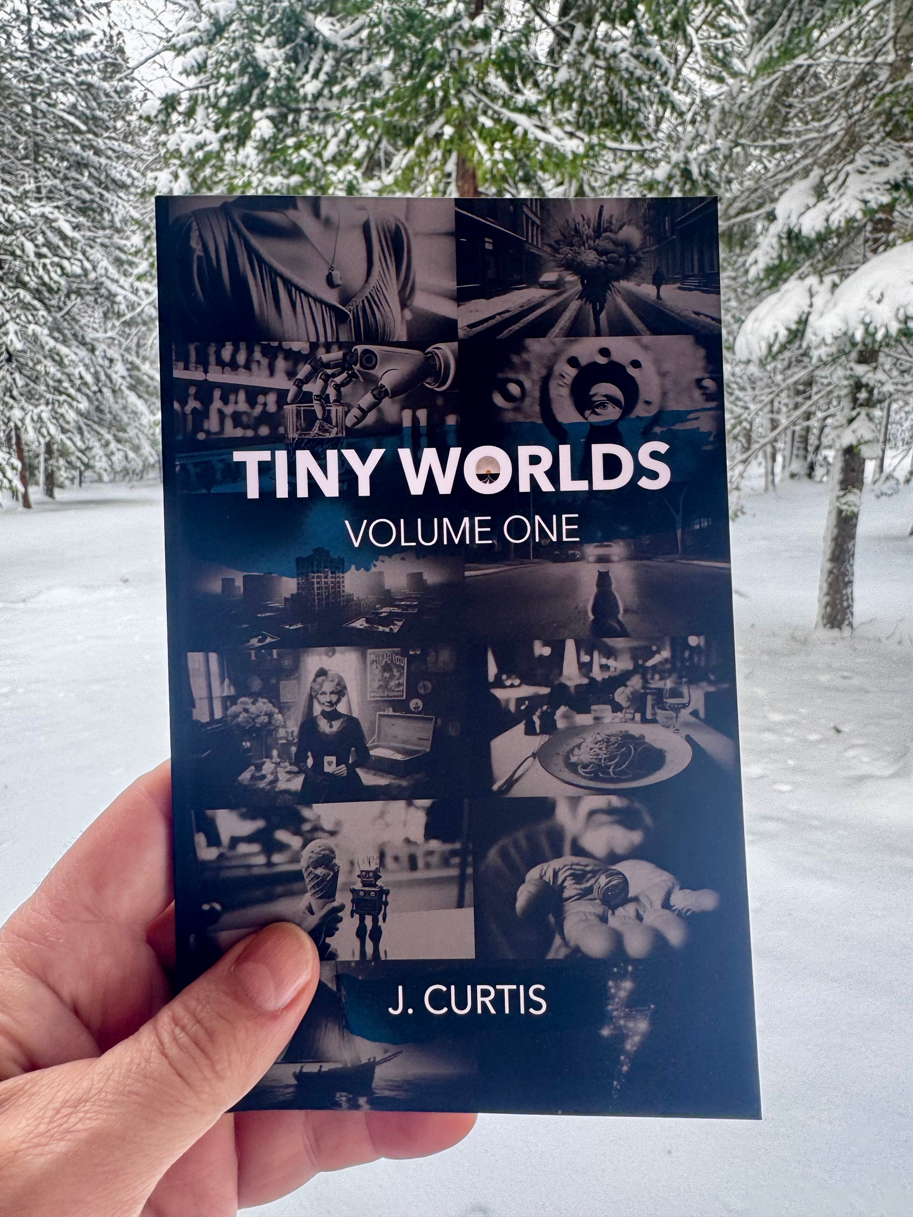 Book titled 'Tiny Worlds Volume One' by J. Curtis held in front of a snowy landscape.