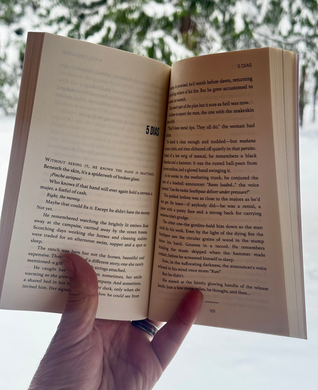 Hand holding an open book with a blurred natural background