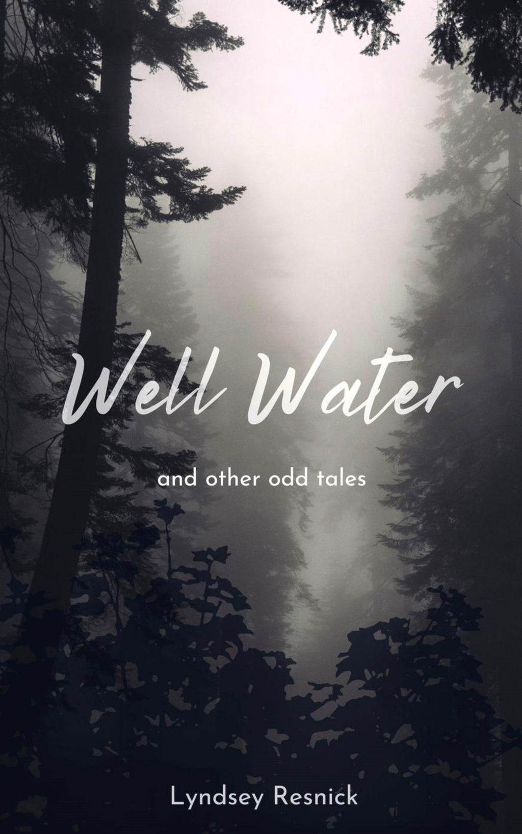 Well Water • Paperback