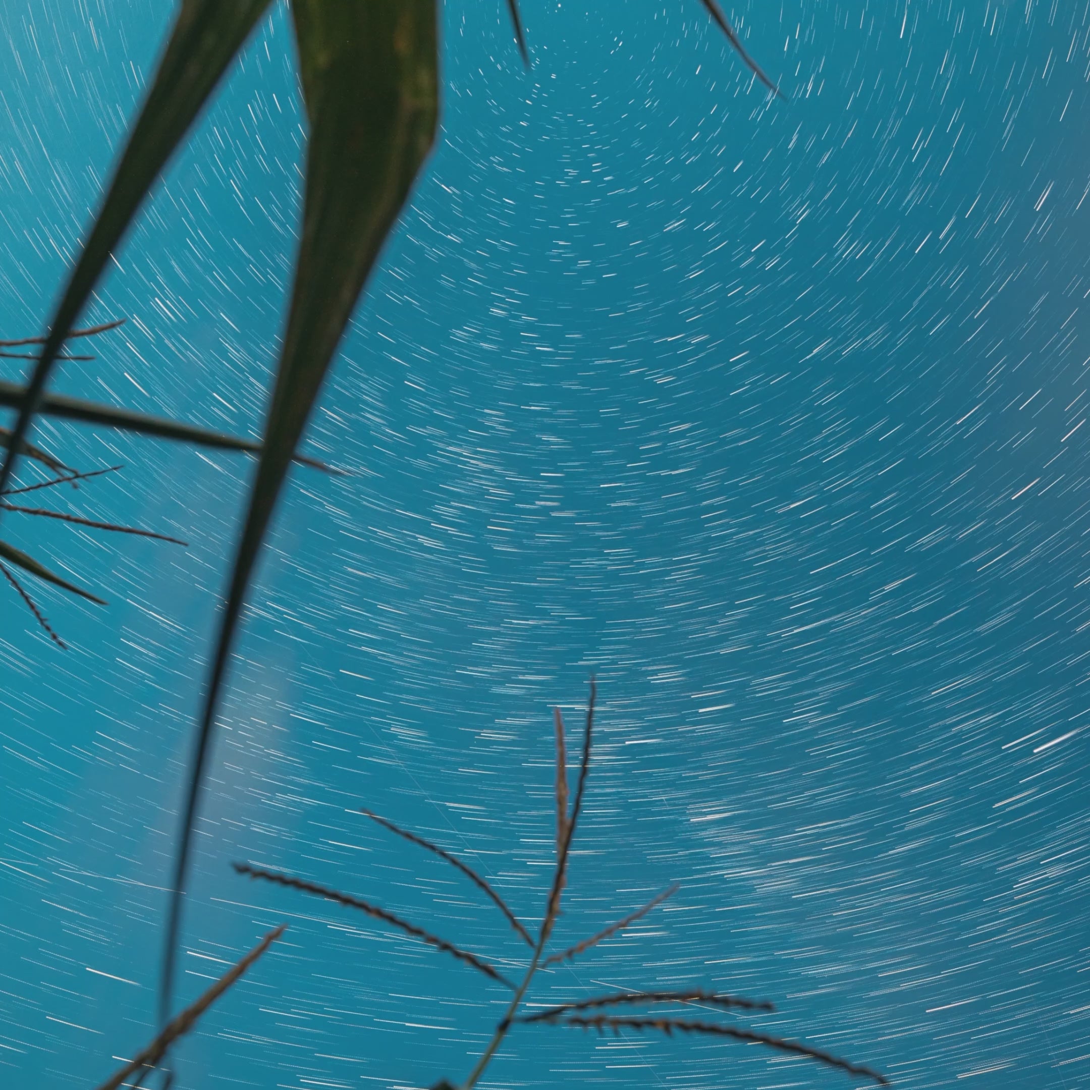 Tiny Worlds • Quarterly 01